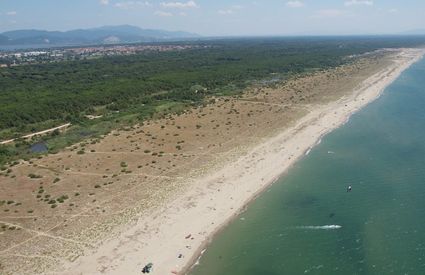 The dock of Viareggio