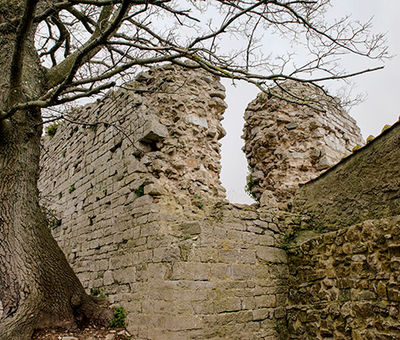 Rocca degli Alberti10