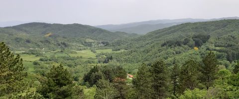 Casentino view